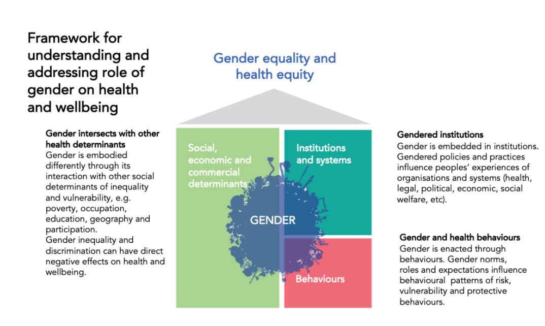  Figure 1: Conceptual framework illustrating the relationship between gender and health and well-being. Hawkes, S., & Buse, K. The Politics of Gender and Global Health. In The Oxford Handbook of Global Health Politics. : Oxford University Press.
